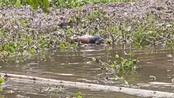 রাজবাড়ী পুকুর থেকে অজ্ঞাতপরিচয় একজনের মরদেহ উদ্ধার করেছে পুলিশ