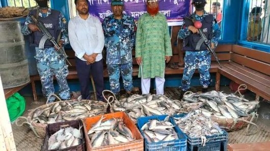 মনপুরার মেঘনায় অভিযানে আটক ইলিশ এতিমখানায় বিতরন