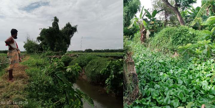 রংগিয়া ঘোনায় বর্ষার ঢলের শঙ্কা, খাল খনন জরুরী ঝুঁকিতে কৃষকের ফসল ও হাজার ঘরবাড়ী