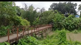চরভদ্রাসনে ভাঙা সংযোগ ব্রিজে ঝুঁকিতে শতাধিক পরিবার ,দ্রুত সংস্কারের দাবি