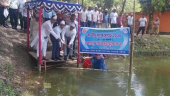 পলাশবাড়ীতে জাতীয় মৎস্য সপ্তাহ উপলক্ষে র‌্যালী আলোচনা সভা ও মাছের পোনা অবমুক্তকরণ