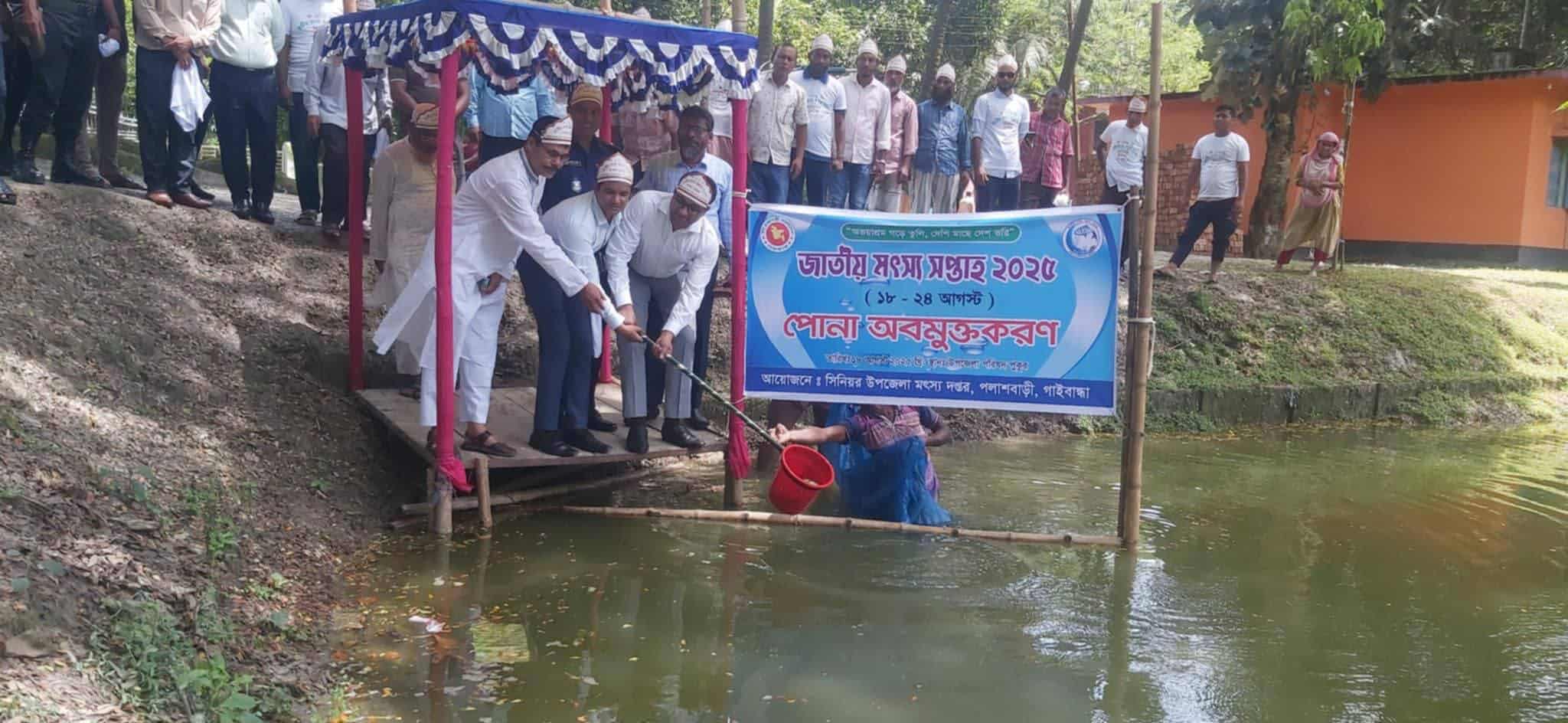পলাশবাড়ীতে জাতীয় মৎস্য সপ্তাহ উপলক্ষে র‌্যালী আলোচনা সভা ও মাছের পোনা অবমুক্তকরণ