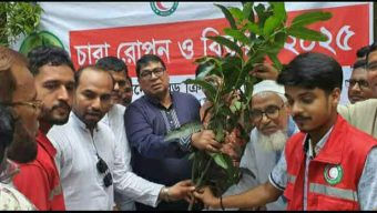 পলাশবাড়ীতে বিভিন্ন শিক্ষা প্রতিষ্ঠানে গাছের চারা রোপন ও বিতরণ।
