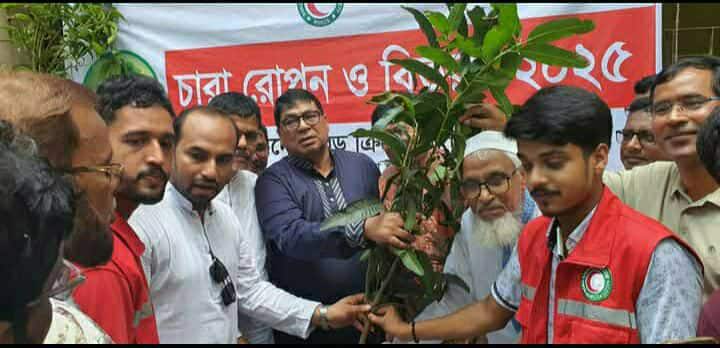 পলাশবাড়ীতে বিভিন্ন শিক্ষা প্রতিষ্ঠানে গাছের চারা রোপন ও বিতরণ।