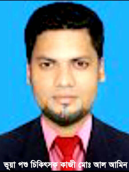 কালীগঞ্জে ভুল চিকিৎসায় গরুর মৃত্যু মোঃ  মুক্তাদির হোসেন।