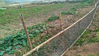 কালীগঞ্জে শারদীয় দুর্গাপুজা উপলক্ষ্যে সাংবাদিকদের সাথে ওসি’র মতবিনিময়