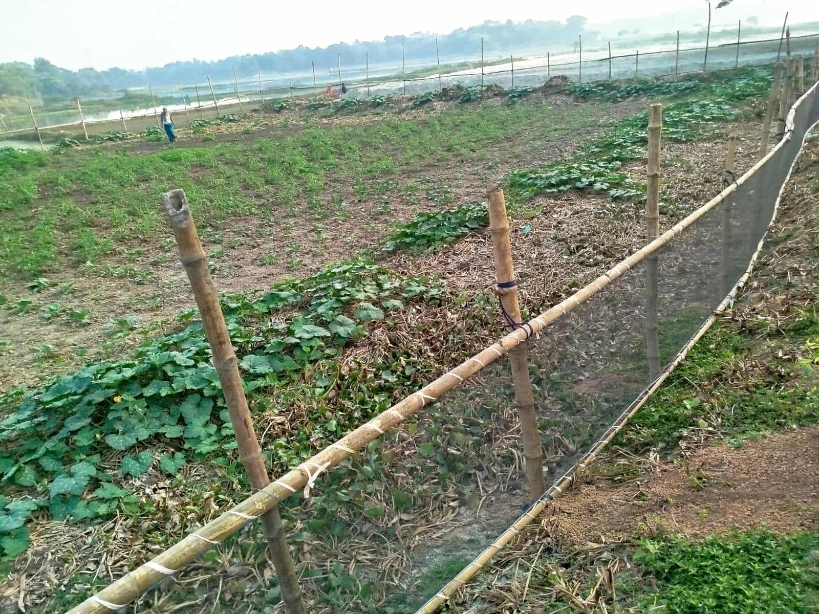 কালীগঞ্জে শারদীয় দুর্গাপুজা উপলক্ষ্যে সাংবাদিকদের সাথে ওসি’র মতবিনিময়