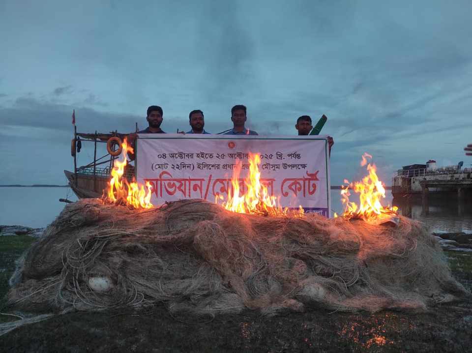 মনপুরার মেঘনায় মৎস্য দপ্তরের অভিযানে আটক  কারেন্ট জাল
