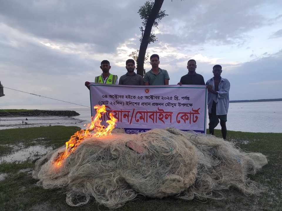 মনপুরার মেঘনায় মৎস্য দপ্তরের অভিযানে আটক কারেন্ট জাল