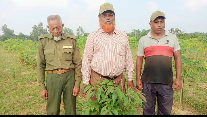 ফলজ, বনজ ও ঔষধি গাছের বাগানের এক অনন্য নিদর্শন নবাবগঞ্জের হরিপুর বিট