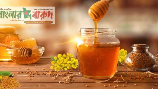শীতকালে ৩ ভয়াবহ রোগের ঝুঁকি কমায় মধু