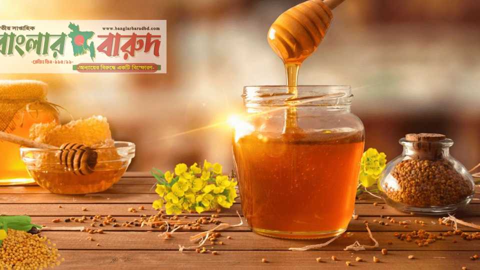 শীতকালে ৩ ভয়াবহ রোগের ঝুঁকি কমায় মধু