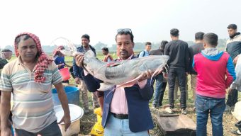 কালীগঞ্জ আড়াইশ বছরের পুরনো মাছের (জামাাই) মেলাকে নিয়ে আনন্দ-উৎসব