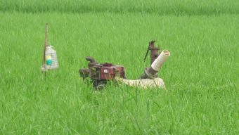 ডিজেল সংকটে জমি সেচে বিপাকে নাটোরের কৃষক, ফসলে ক্ষতির আশঙ্কা